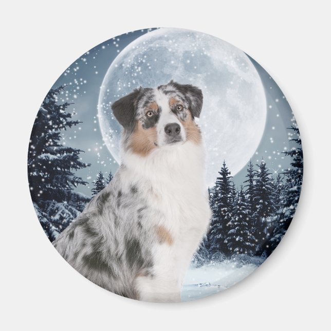 Magnet de berger australien (Devant)