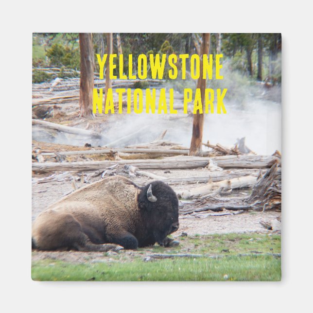 Magnet de bison du parc national Yellowstone (Devant)