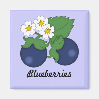 Magnet de bleuets