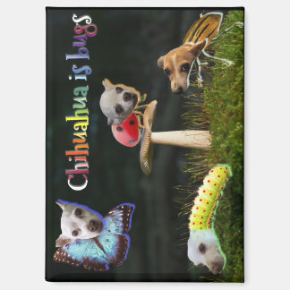 Magnet de bogues