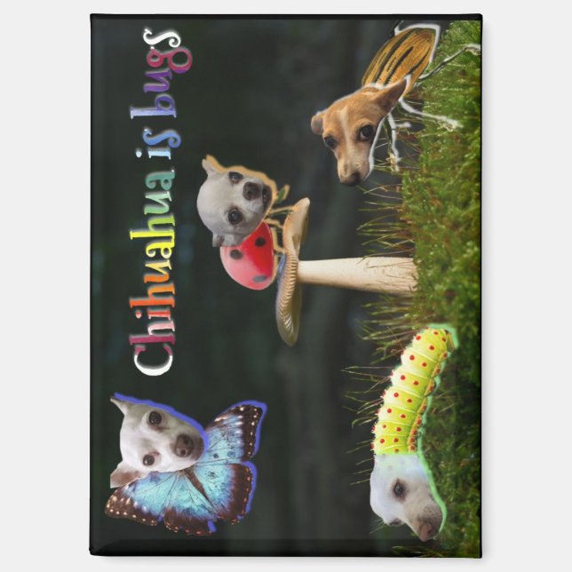 Magnet de bogues (Recto)