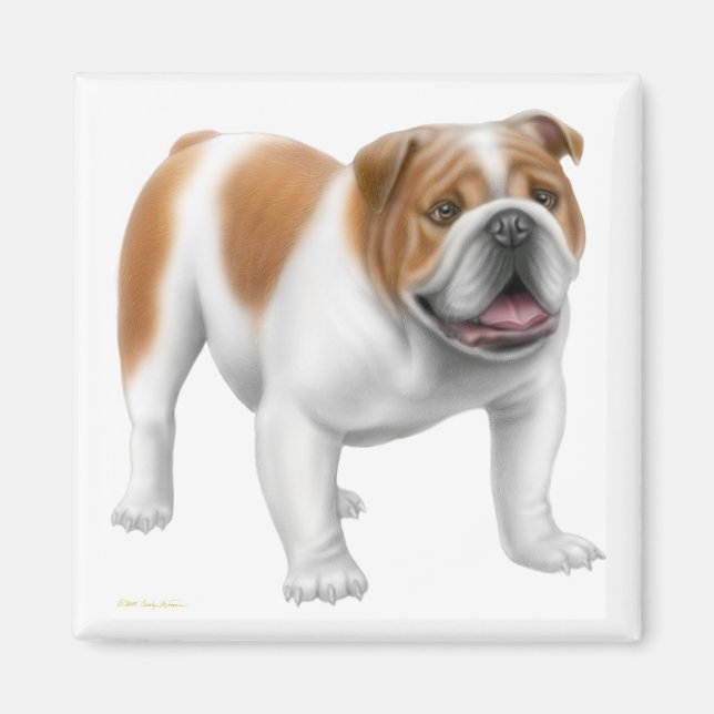 Magnet de Bulldog anglais (Devant)