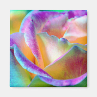 Magnet de Carré Rose coloré