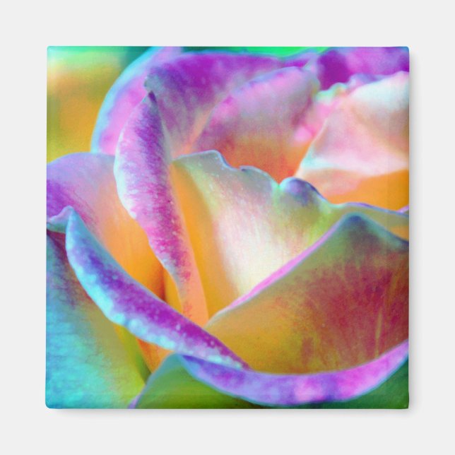 Magnet de Carré Rose coloré (Devant)