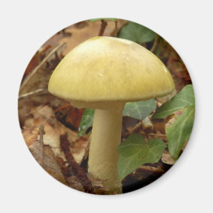 Magnet de champignons de la boue de mort