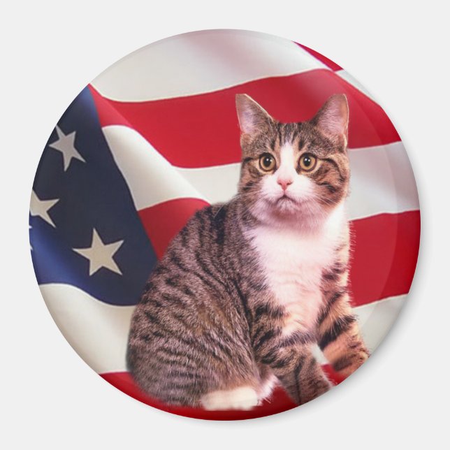Magnet de chat américain (Devant)
