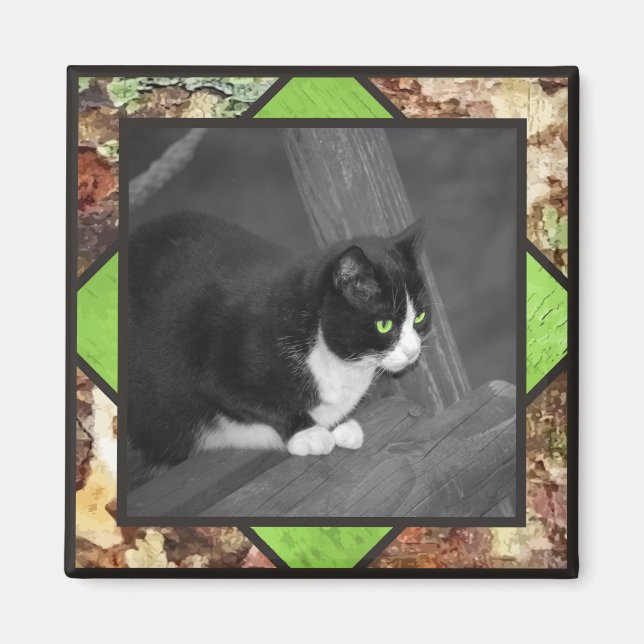 Magnet de chat Barnyard (Devant)