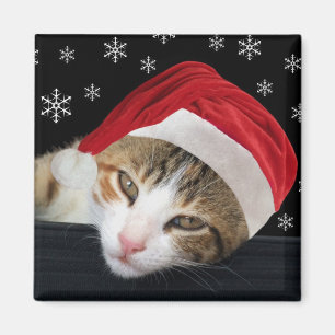 Magnet de chat de Noël