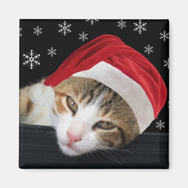 Magnet de chat de Noël (Devant)