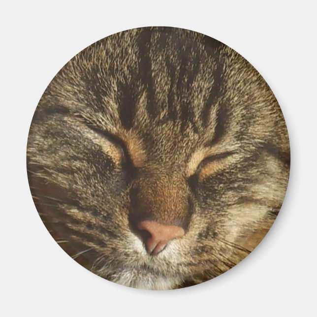 Magnet de chat Kitty (Devant)