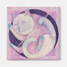 Magnet de chat Quasar