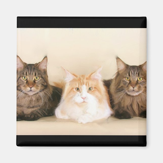 Magnet de chats de Maine (Devant)