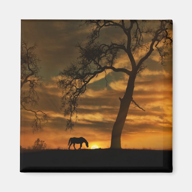 Magnet de cheval magnifique (Devant)