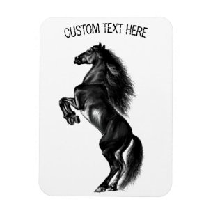 Magnet de cheval sauvage noir droit