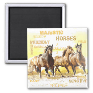 Magnet de chevaux majestueux