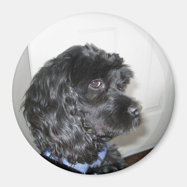 Magnet de chien adorable (Devant)