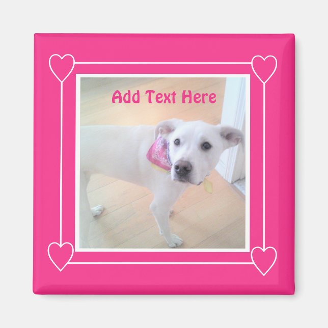 Magnet de Chien Chien Blanc Chien Chaud Rose Doux (Devant)