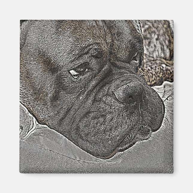 Magnet de chien de boîte (Devant)