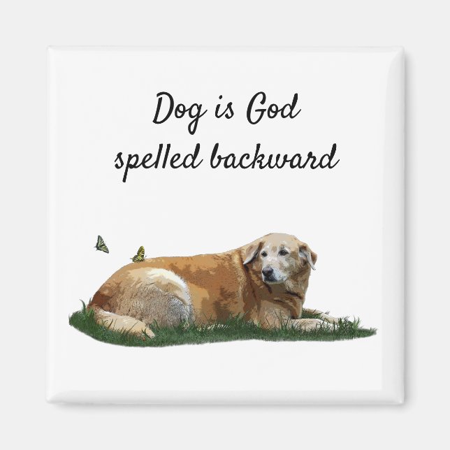 Magnet de chiens de races mixtes du Labrador jaune (Devant)