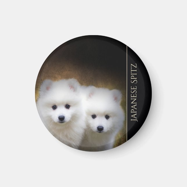 Magnet de chiots spitz japonais (Devant)