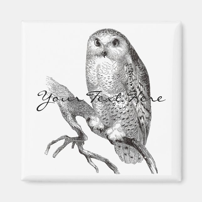 Magnet de Chouette neige vintage (Devant)