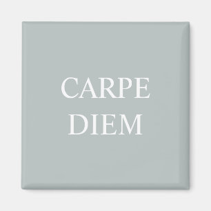 Magnet de citation latine Carpe Diem