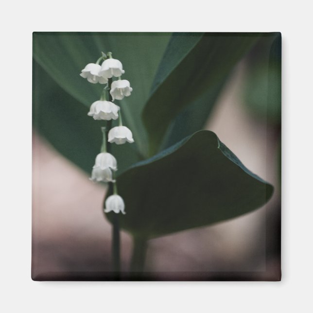 Magnet de cloches sucrées (Devant)