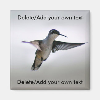 Magnet de colibris