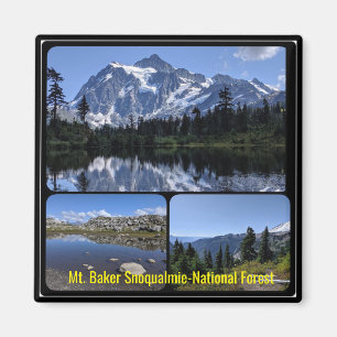 Magnet de collage forestier national du mont Baker