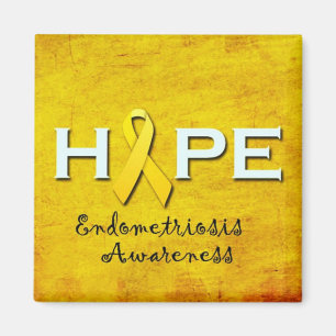 Magnet de conscience d'endométriose