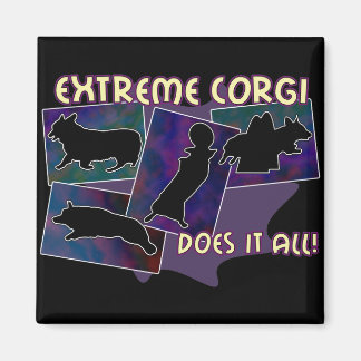 Magnet de corgi extrême