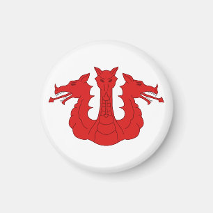 Magnet de fenêtres SCA
