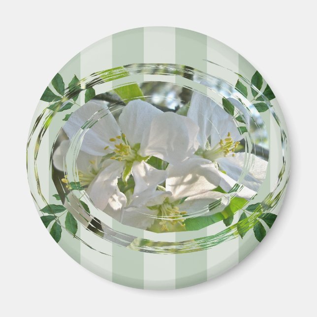 Magnet de fleurs d'Apple et de bandes vertes (Devant)