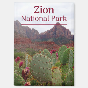 Magnet de fleurs du parc national de Zion
