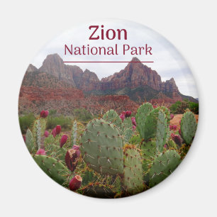 Magnet de fleurs du parc national de Zion