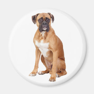Magnet de frigidaire pour chien coquelicot
