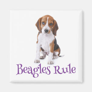 Magnet de frigo pour chien Beagle
