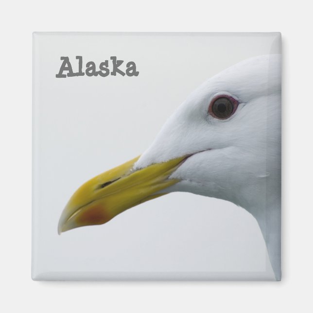 Magnet de goéland de l'Alaska (Devant)