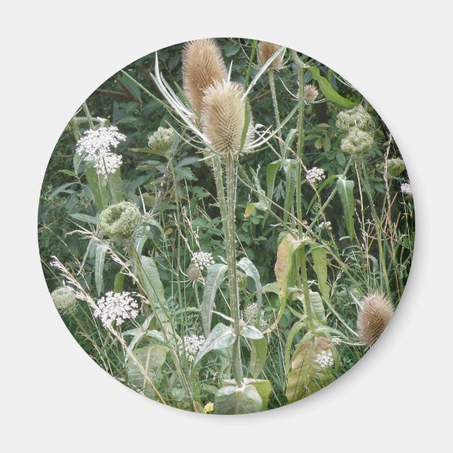 Magnet de graminées sauvages (Devant)