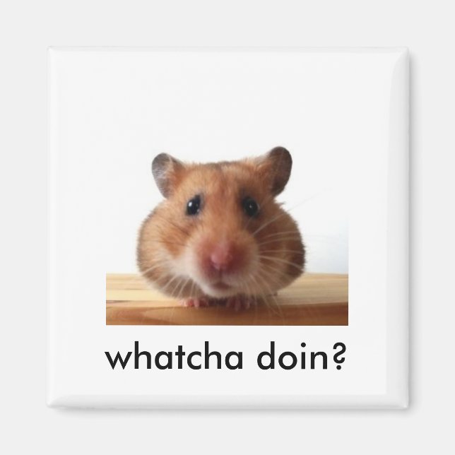Magnet de hamster (Devant)