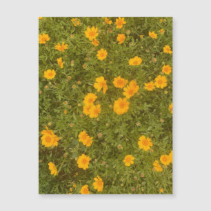 Magnet de jardin de la marmite de beurre