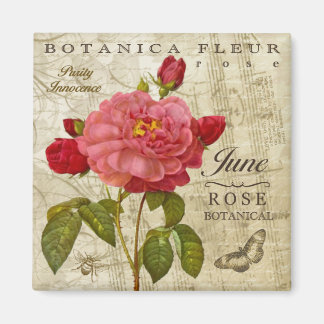 Magnet de juin de la Botanique