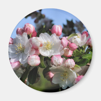 Magnet de la photographie de fleurs impressionnant