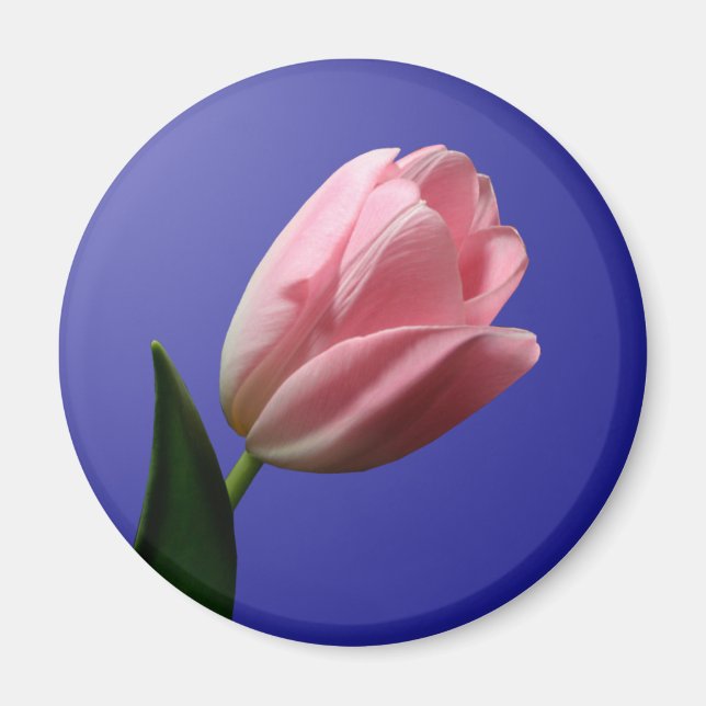 Magnet de la tulipe de mariage du printemps (Devant)