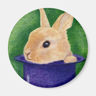 Magnet de lapin de chapeau supérieur