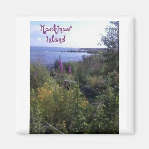 Magnet de l'île Mackinaw