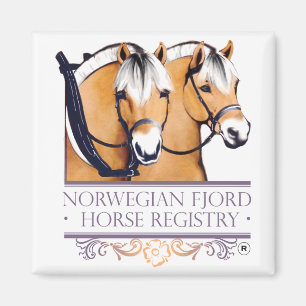 Magnet de logo de NFHR