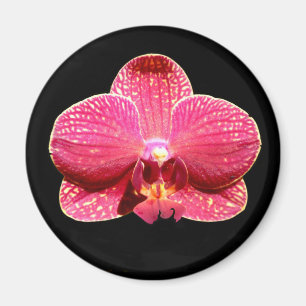 Magnet de l'orchidée