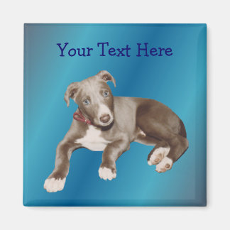 Magnet de marionnettes bleu gris