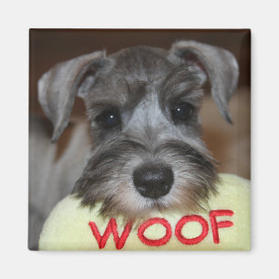 Magnet de marionnettes Schnauzer